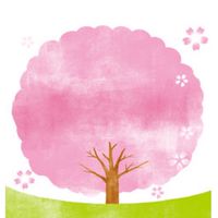 【山梨】お花見＆開花情報🌸写真＆スポット/ 桜 さくら 梅 ウメ 春