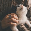 好狗運嘉民店🐾