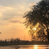 เกษตรกรเหล่าปอแดง