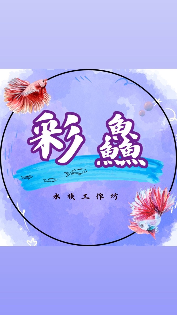 彩鱻水族🐠