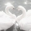 瘋狂吐槽群！發瘋/處關係