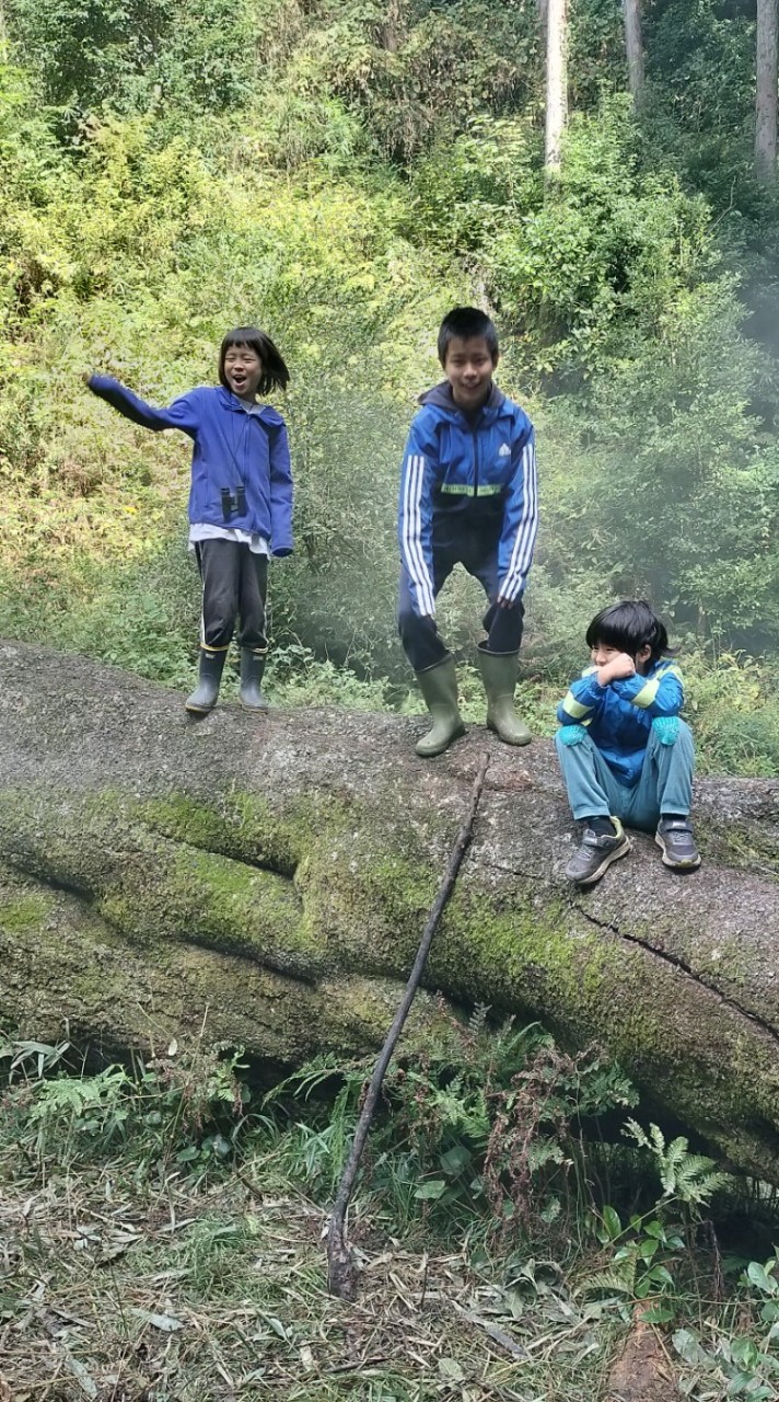 上青柳のオオヤマザクラ