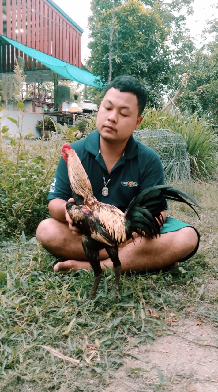 พีช ส.เทพศาลาขาว
