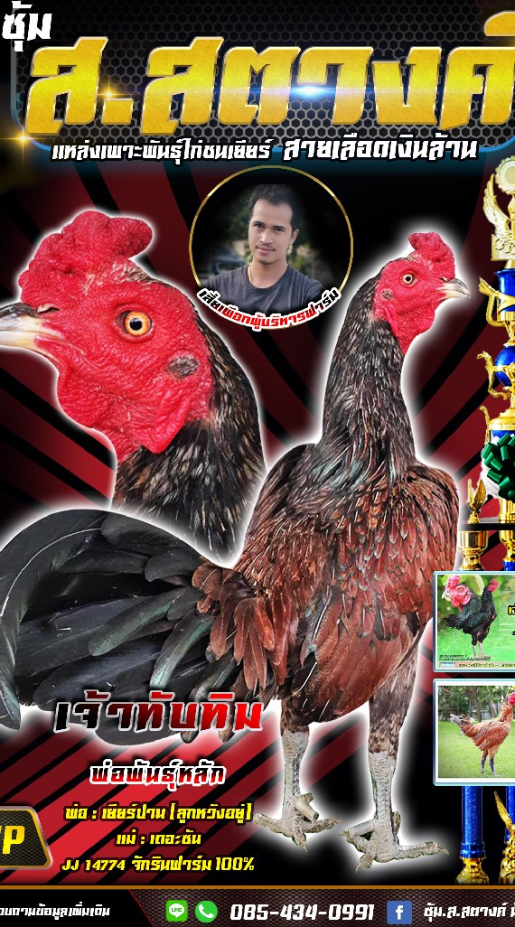 ไก่ชนเปรุ+จักริน