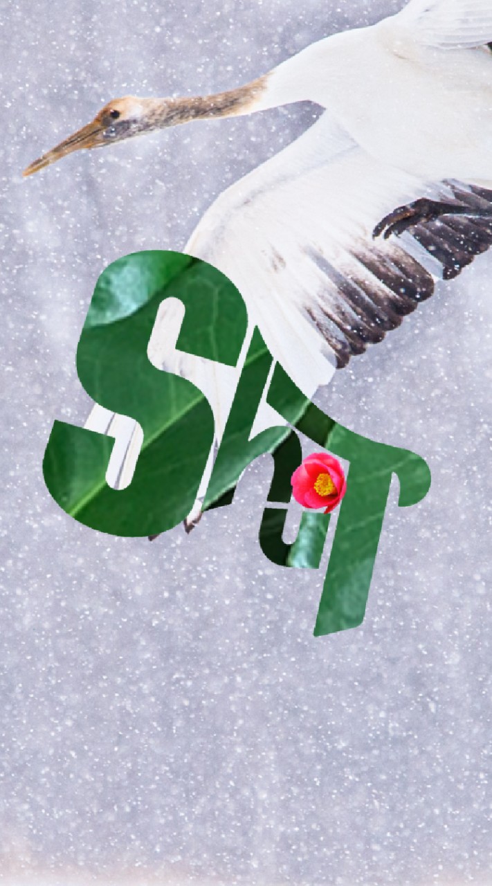 shouTpuT部