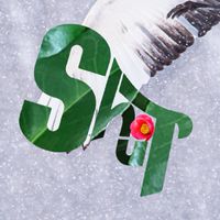 shouTpuT部