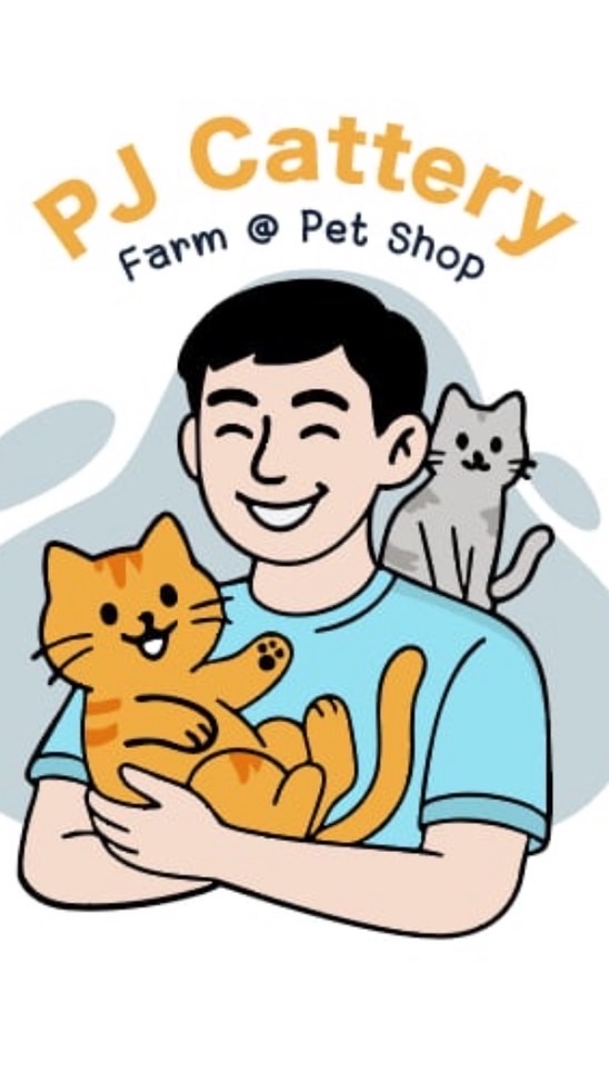 ฟาร์มแมว PJ Cattery แมวน้ำเข้าต่างประเทศ