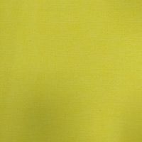 玩西批、處關係的墓園群（總館（一）分支館）（國小生+國中生+高中生）
