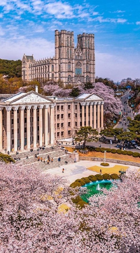 มหาลัยบอท||•Bot University