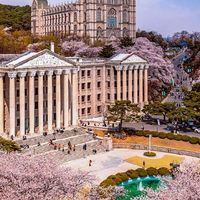 มหาลัยบอท||•Bot University