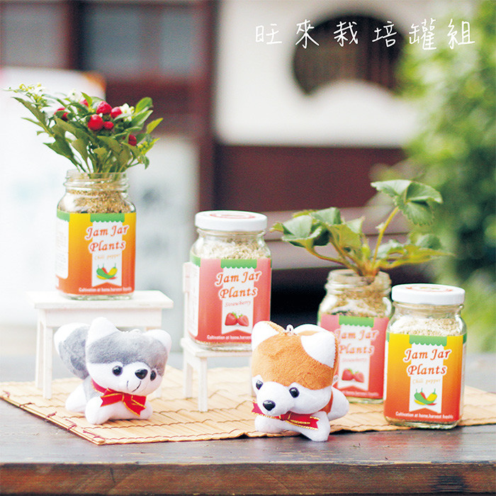 新春新氣象，擺個開運植栽為自己增添好運吧!新春旺來栽培罐組，台灣生產，純手工製作，每一盆都是獨一無二，絕對是您除舊佈新、走春送禮的首選! 想要營造居家春節氣氛卻又拙於照顧植栽的朋友們也不用擔心！嚴選適