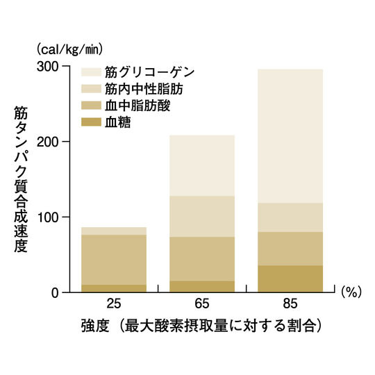 ランナー必見 本番の頑張りを最大化する 糖質摂取術