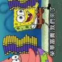 落花憶の流年