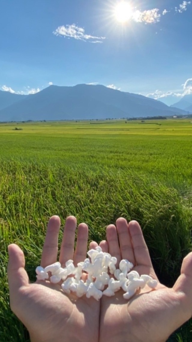 米米花私藏秘密基地