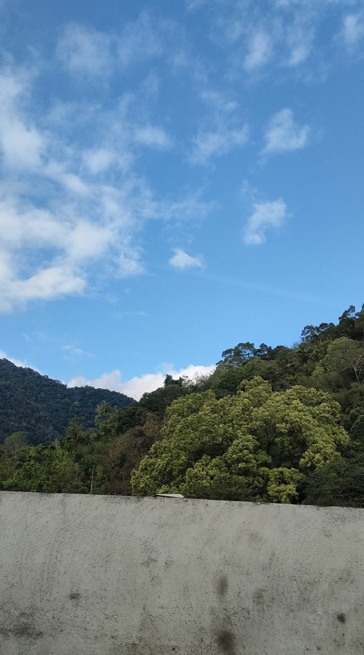 漫畫討論