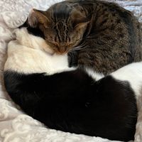 私を大事にする練習