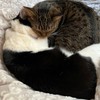 私を大事にする練習