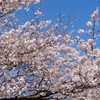 福を呼ぶパチと雑談チャット