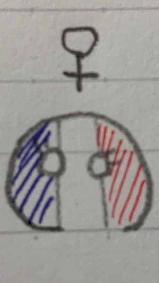 カンヒュ也雑談！