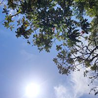 希塔育兒/希塔教養/希塔親子關係/彩虹小孩