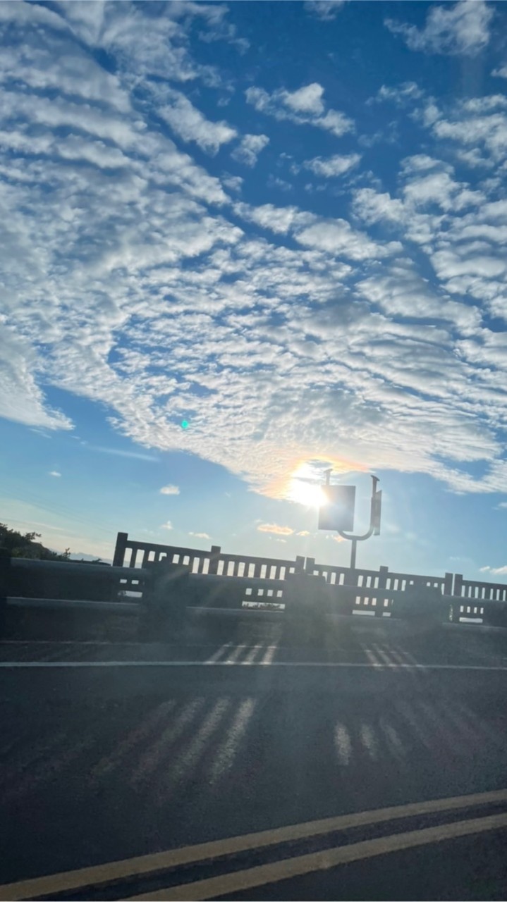 陽明山揪團（陽金公路）