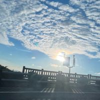 陽明山揪團（陽金公路）