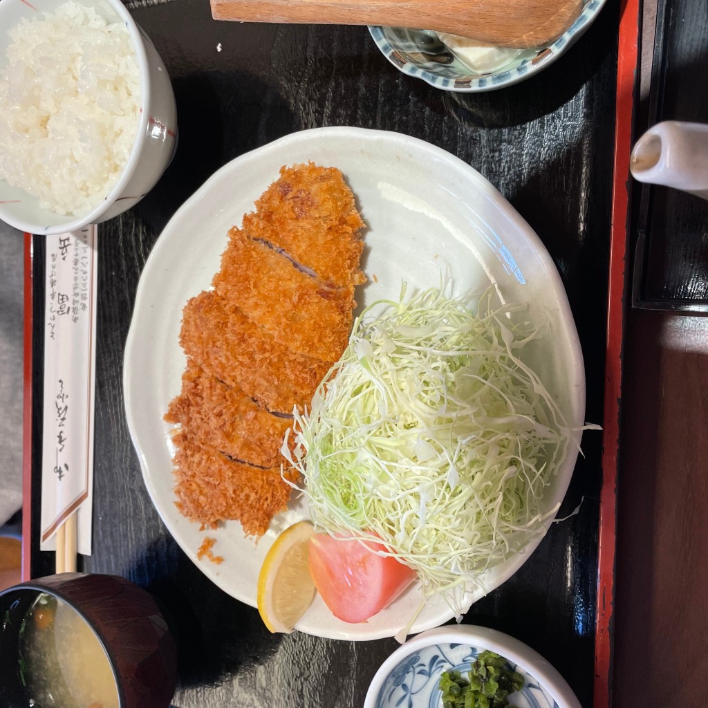 ユーザーが投稿したヒレカツ定食の写真 - 実際訪問したユーザーが直接撮影して投稿した南篠崎町とんかつとんかつ・串揚げ 冨岳の写真