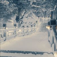 如果是你，也許可以