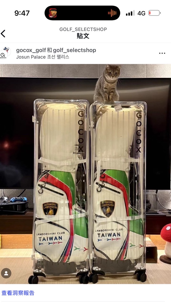 MAKI GOLF 🍣卷高爾夫🏌️‍♀️