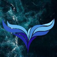 WhaleShark Forex 🐋