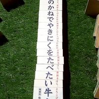 全緩也ですが❔❔