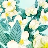 宜蘭縣總工會-照顧服務考前輔導班
