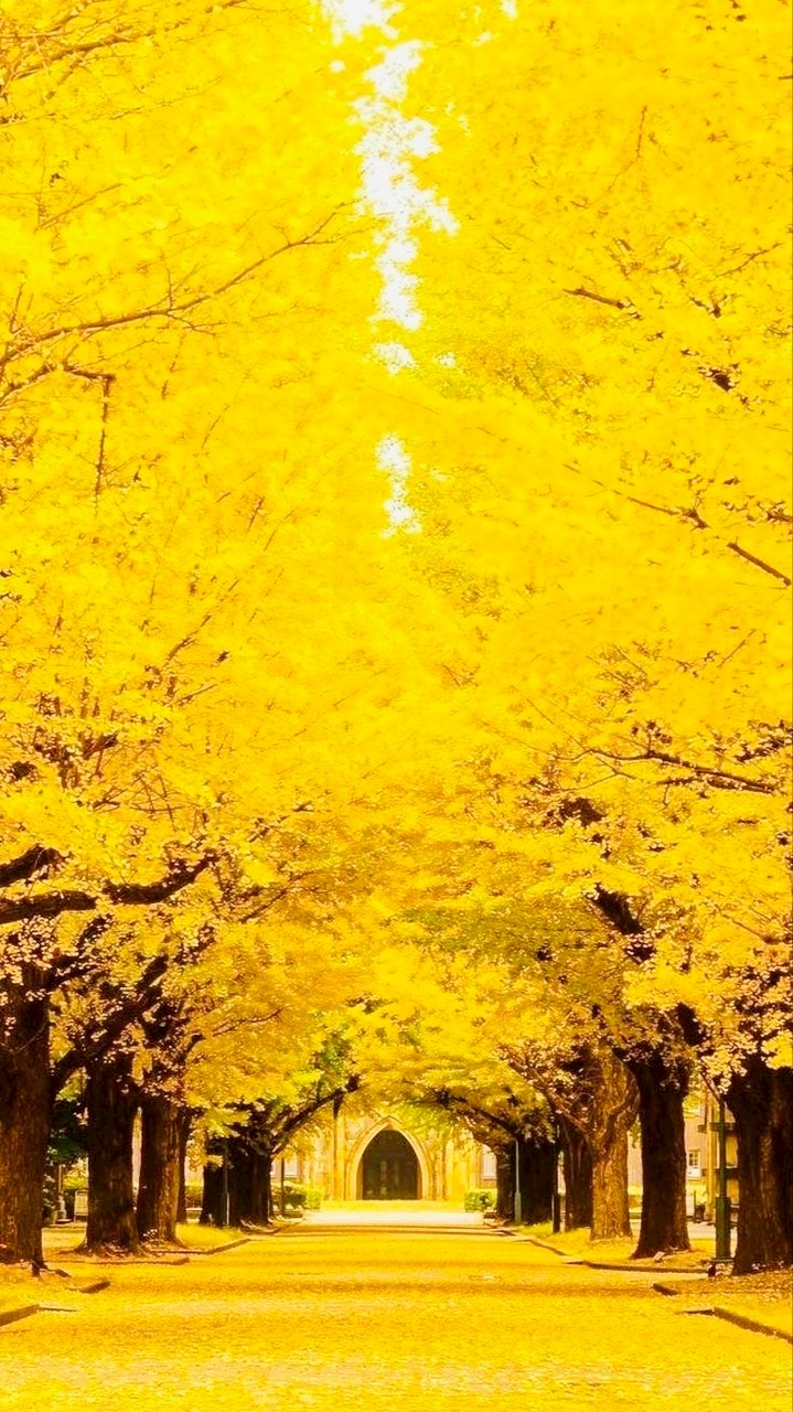 🌈✨まほろば✨🌈スピリチュアルで遊びながら霊性を高めよう♫