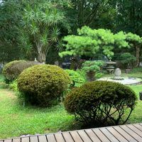 埔里地區優質團購