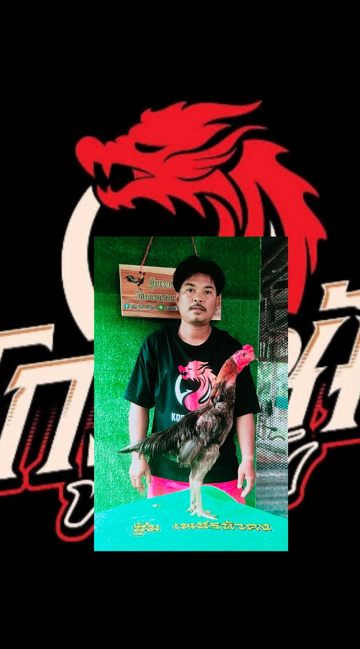 🐉🐉🐉 หนู เพชบัวคง พัฒนาสายเลือดมังกร🐉🐉🐉