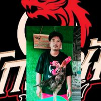 🐉🐉🐉 หนู เพชบัวคง พัฒนาสายเลือดมังกร🐉🐉🐉