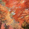 一路前進