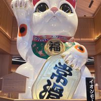 2.27-3.4 Chi_韓國連線代購🧡