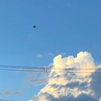 学生限定オプ✨歌が好き！大人数は苦手！って人ウェルカム！！