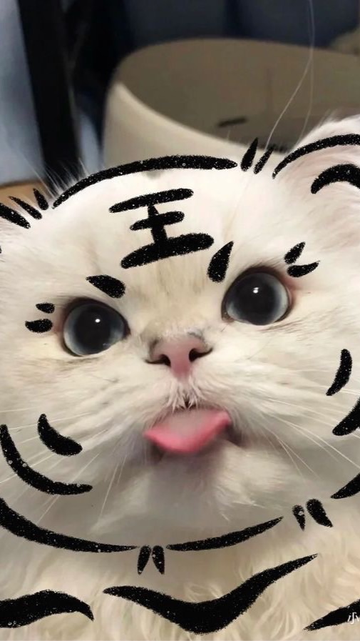 @̷grσpzєємσnz ꒦꒷ ˎˊ˗