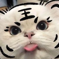 @̷grσpzєємσnz ꒦꒷ ˎˊ˗