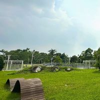 嘉義狗狗聚會（寵物公園）