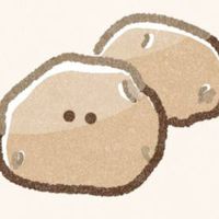 小説 お世辞なし採点！！