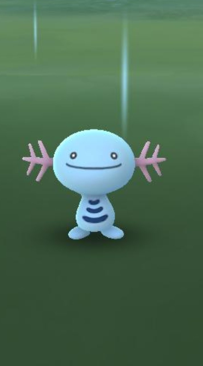 めめ村ファン集まれ〜　ポケモン部