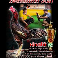 ซุ้ม ก.เกวลินฟาร์ม