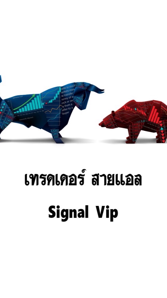 Signal Vip (งดพูดคุย)