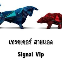Signal Vip (งดพูดคุย)