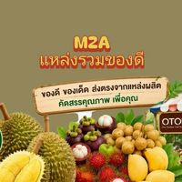 M2A แหล่งรวมของดี