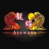 龍耀龍魚-競標·交流