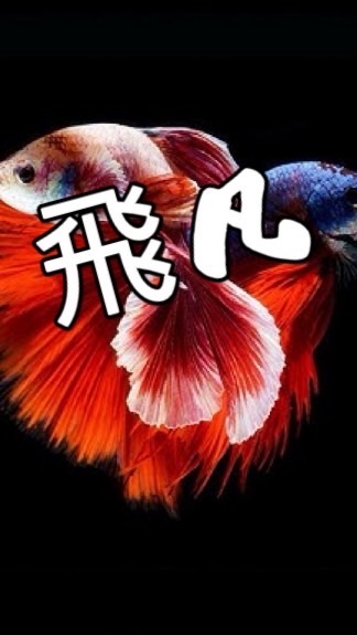 飛凡-鬥魚、孔雀魚交流、買賣、競標、送養、魚病學術討論